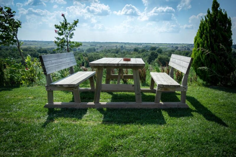 Istanbul: Private Wine Tasting Day Trip to Tekirdag - Return journey and drop-off