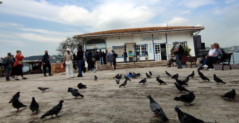 Istanbul Revealed: Historic Pathways and Bosphorus Serenity - FAQs