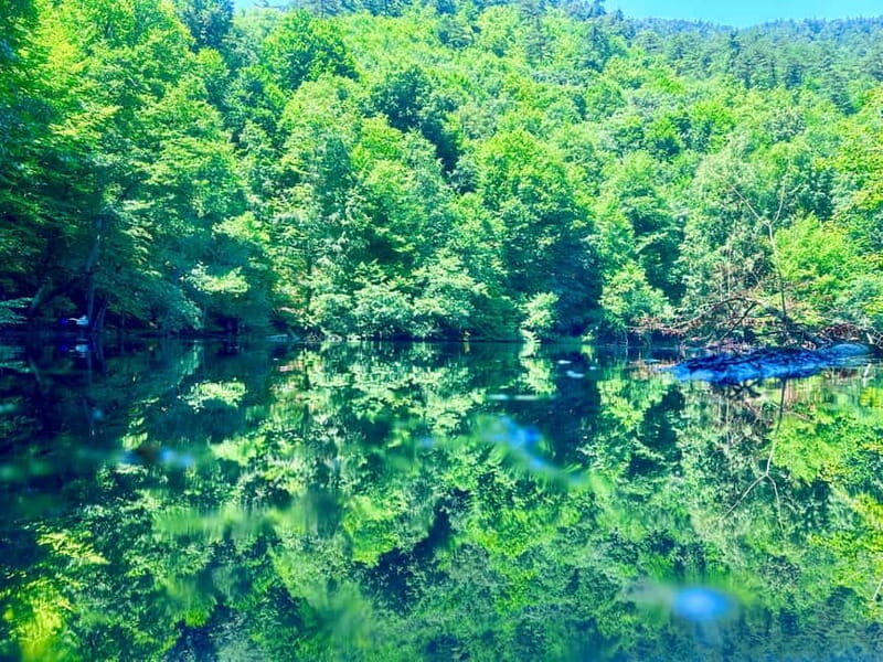 Istanbul: Sapanca, Bolu, Safranbolu and Amasra guided tour - Why This Tour Works Well