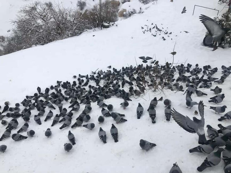 Istanbul to Cappadocia 4 Days Trail - Who Would Love This Tour?