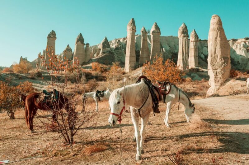 Istanbul to Cappadocia All Inclusive Private Day Tour - In-Depth Look at the Day