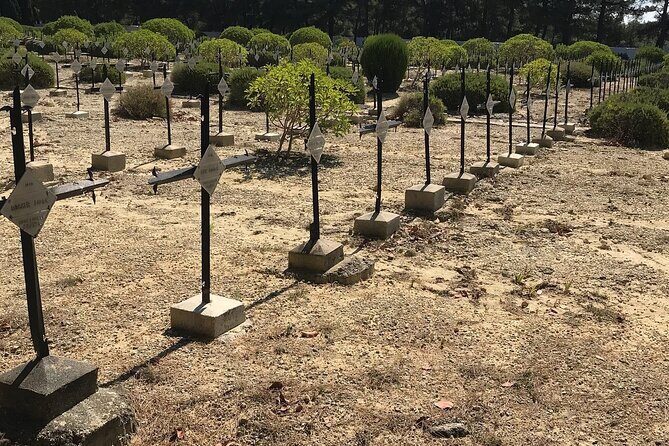 Istanbul to Gallipoli, Canakkale and Troy. 2 Day Tour with Hotel - Who Is This Tour Best Suited For?