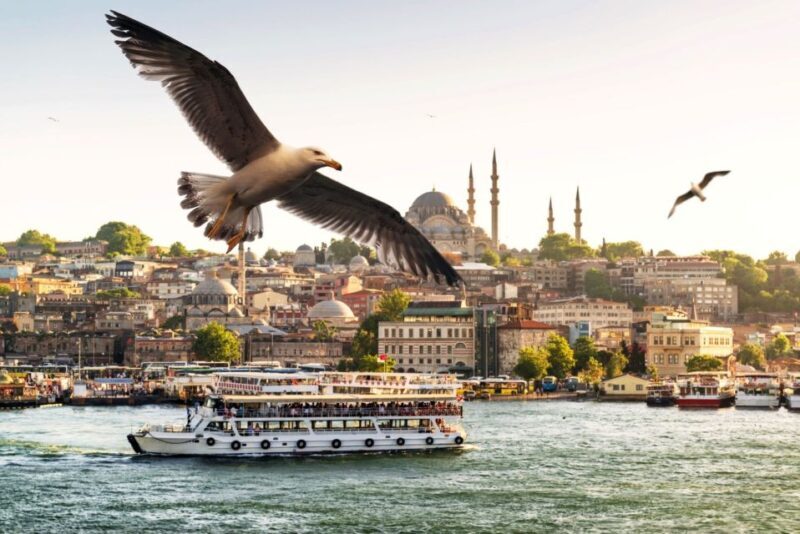 Istanbul: True Discovery Full-Day Tour and Cruise - Key Points