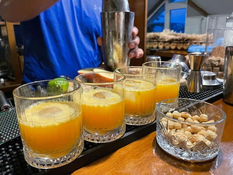 Istanbul: Turkish Cocktail Workshop with Locals at Home Bar - An In-Depth Look at the Istanbul Turkish Cocktail Workshop