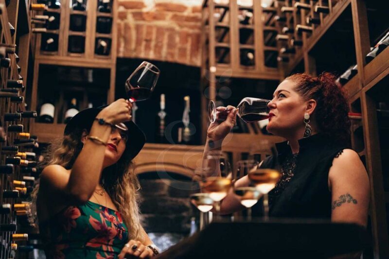 Istanbul: Wineries Tour with a Private Sommelier - A Deep Dive into the Istanbul Wineries Tour