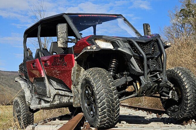 Istra Buggy Family Safari - Final Thoughts: Is the Istra Buggy Family Safari Worth It?