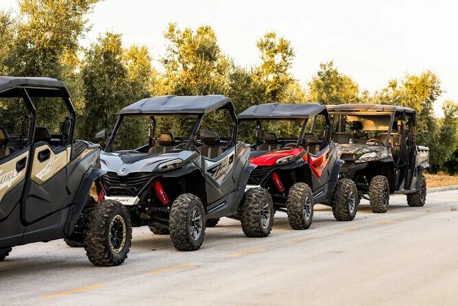 Istra Buggy Tour with a Local Guide - A Deep Dive into the Istra Buggy Experience