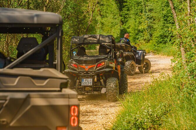 Istra Buggy Tour with a Local Guide - The Sum Up