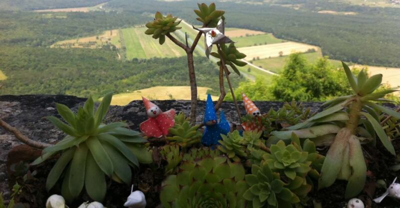 Istria: Guided Tour of Inner Istria with Food Tasting - Key Points