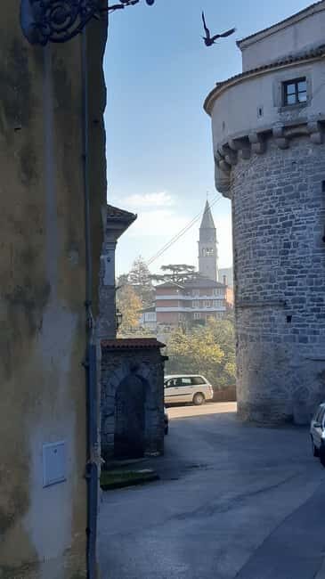 Istria: Guided Tour of Inner Istria with Food Tasting - The Sum Up