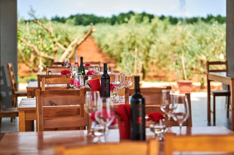 Istria: Pervino wine tasting - What to Expect from the Pervino Wine Tasting Experience