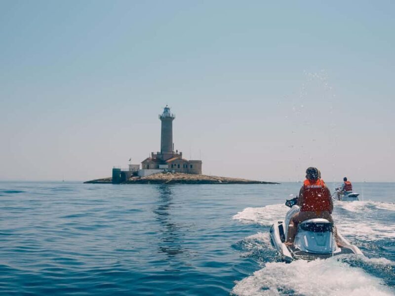 Istria Sea Safari - 30, 60, 120 MIN - A Closer Look at the Experience