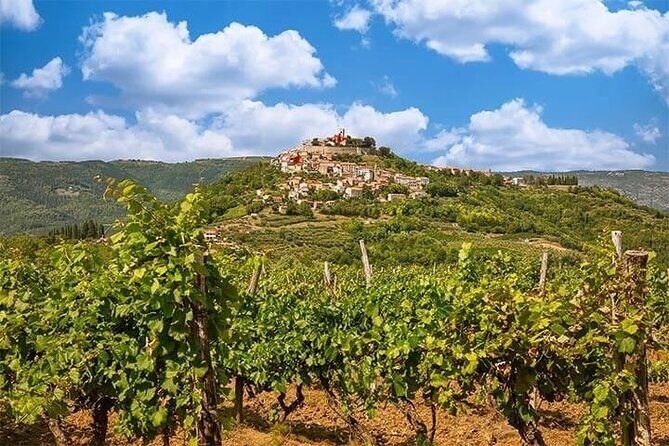 Istrian Inland: Motovun and Gronjan half day tour (From Rovinj) - Key Points