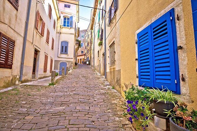 Istrian Inland: Motovun and Gronjan half day tour (From Rovinj) - Why This Tour Offers Great Value
