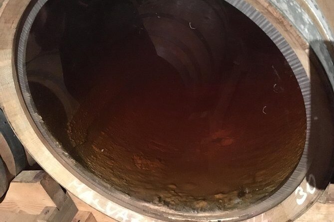 Istrian tapestry - gourmet tour combining wine, truffles and olive oil - A Deep Dive into the Istrian Tapestry Experience