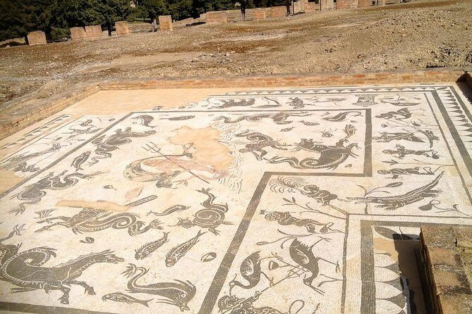 Italica: 3-hour city tour of the emperors from Seville - Unpacking the Tour Experience
