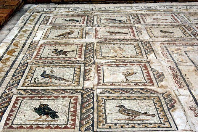 Italica: 3-hour city tour of the emperors from Seville - Who Will Love This Tour?
