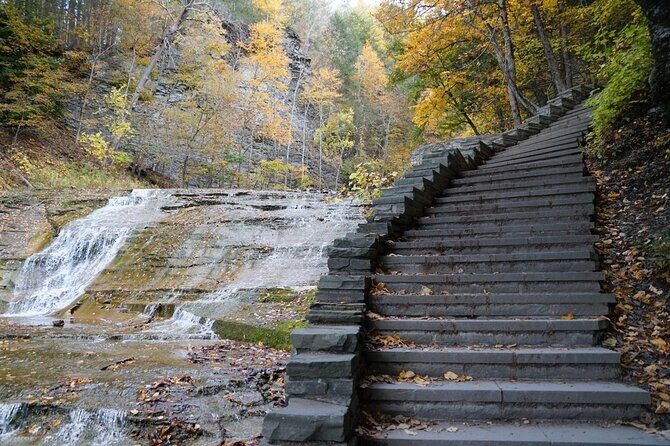 Ithaca Family Adventure: Fun & Discovery Walk - Practical Details and What to Expect
