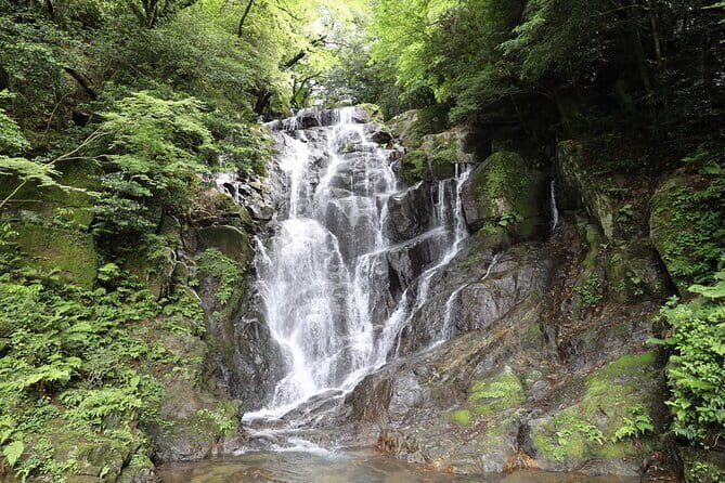 Itoshima Day TourFalls, Cafe, Seafood & More (from Hakata) - Key Points