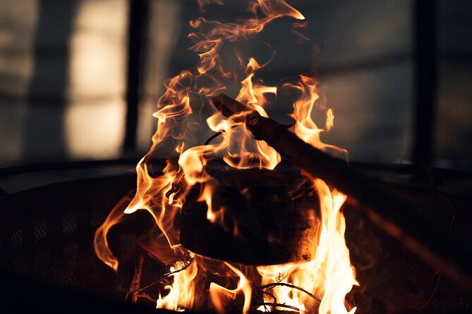 Ivalo: Aurora Hunting with Reindeer - The Itinerary and What Makes It Special