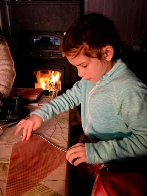 Ivalo: Private Farm Visit & Husky Experience - Ivalo: Private Farm Visit & Husky Experience — A Detailed Review