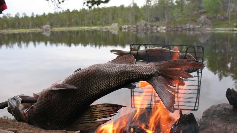 Ivalo: Summer Day/Evening on a Lake in the Wild - Key Points