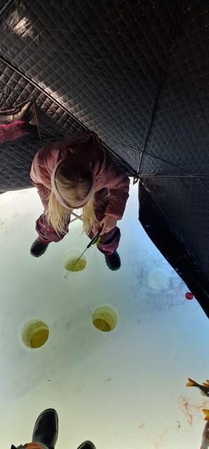 Ivalo:Sleighride Tour and Fishing on a Lake in the Wild - Who Will Love This Tour?