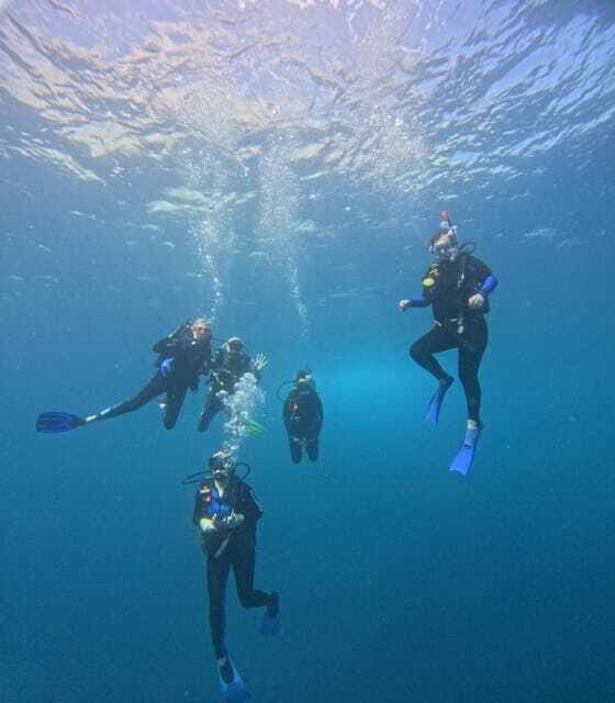 Ixtapa: Discover Diver Course - Introduction to the Discover Diver Course