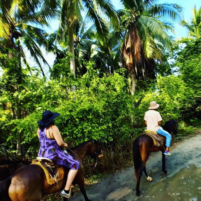 Ixtapa: Horseback Riding Tour Along Playa Larga - Introduction