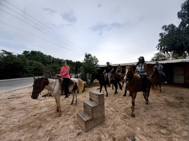 Ixtapa: Horseback Riding Tour Along Playa Larga - The Value of This Experience