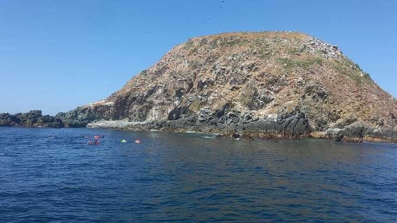 Ixtapa: Marine Life Exploration - A Detailed Look at the Marine Life Exploration Tour
