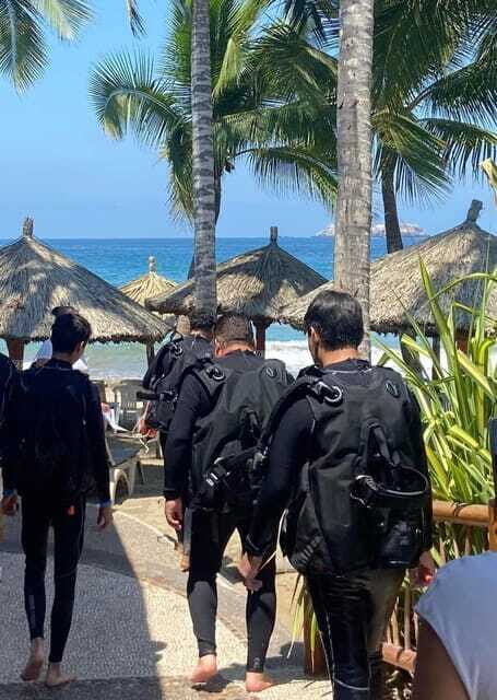 Ixtapa: Open Water Diver Course - Practicalities and Considerations