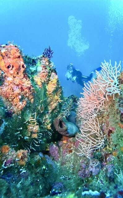 Ixtapa: Scuba Diver Course - What’s Included and Practical Details