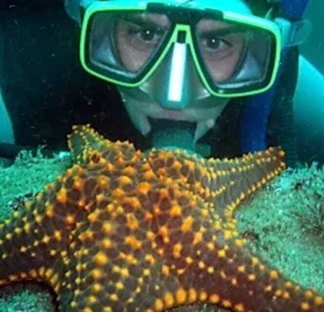 Ixtapa: Underwater Adventures in Zihuatanejo - The Experience: What to Expect from Start to Finish