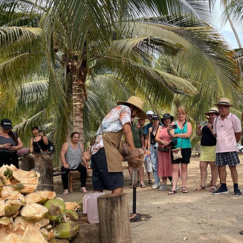 Ixtapa Zihuatanejo Archaeological Zone and Coconut Museum Tour - An In-Depth Look at the Tour