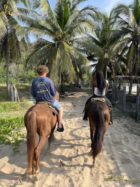 Ixtapa-Zihuatanejo: Horseback Riding Tour - Who Should Consider This Tour?