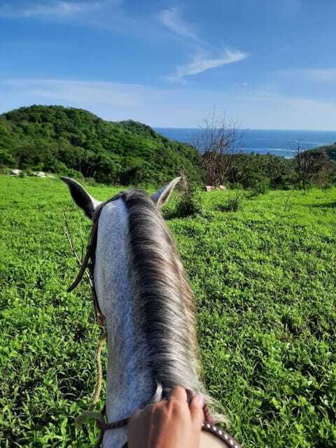 Ixtapa-Zihuatanejo: Horseback Riding Tour - Final Thoughts