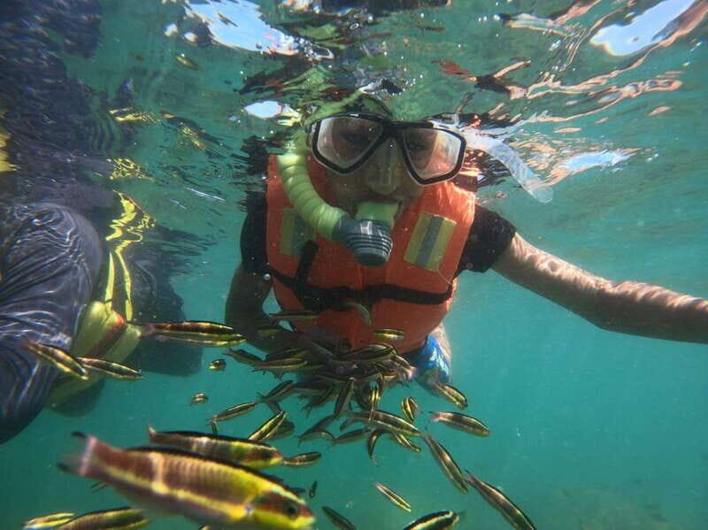 Ixtapa-Zihuatanejo: Island of Ixtapa Day Trip with Lunch - The Practicalities