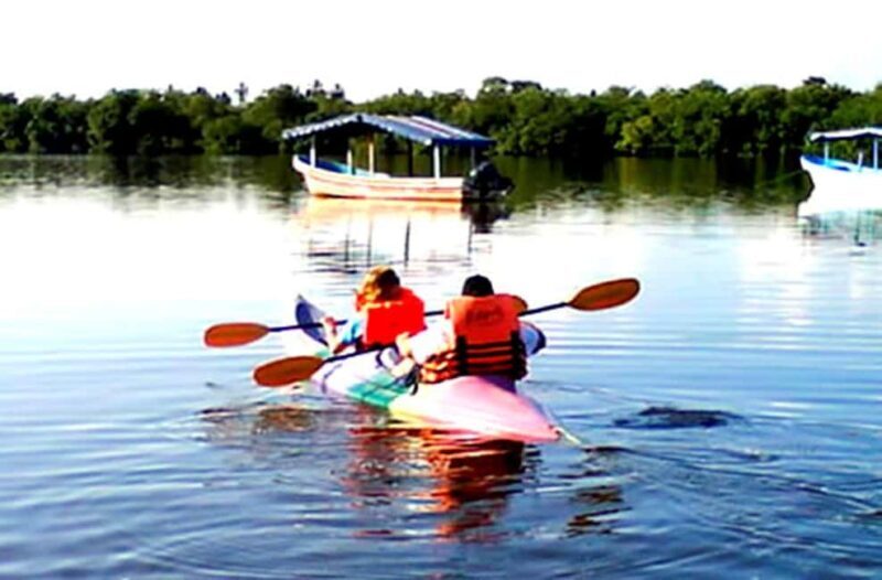 Ixtapa Zihuatanejo: Kayak Tour at Barra de Potosí - The Optional Lunch: A Local Culinary Treat