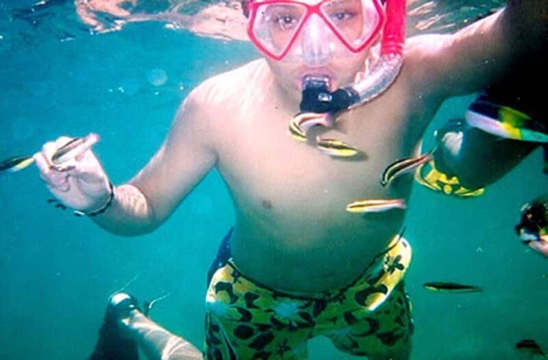 Ixtapa Zihuatanejo: Kayaking and Snorkeling Tour - An Introduction to the Experience