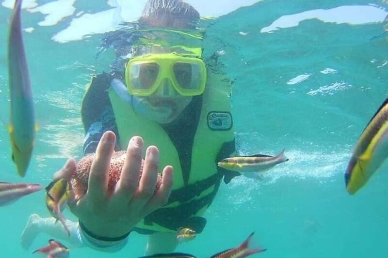 Ixtapa-Zihuatanejo: Las Gatas Beach - Getting to Playa Las Gatas