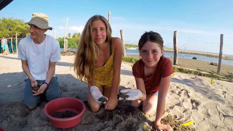 Ixtapa-Zihuatanejo: Turtle Release Tour. - An In-Depth Look at the Turtle Release Tour