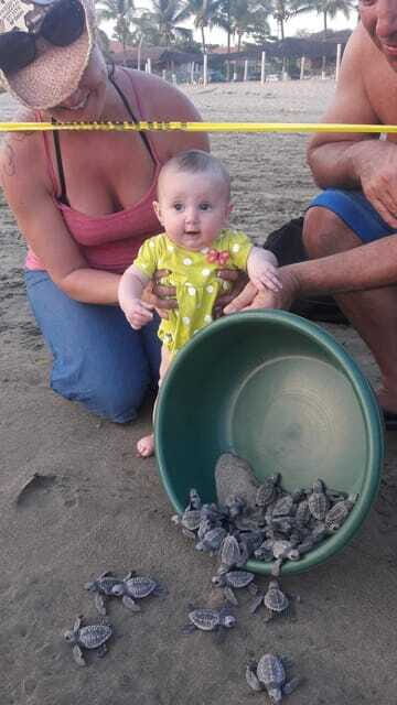 Ixtapa-Zihuatanejo: Turtle Release Tour. - Frequently Asked Questions