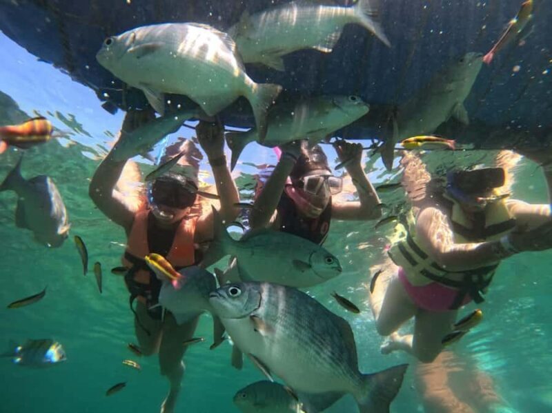 Ixtapa: Zipline and Snorkeling Adventure with Lunch - The Experience in Detail