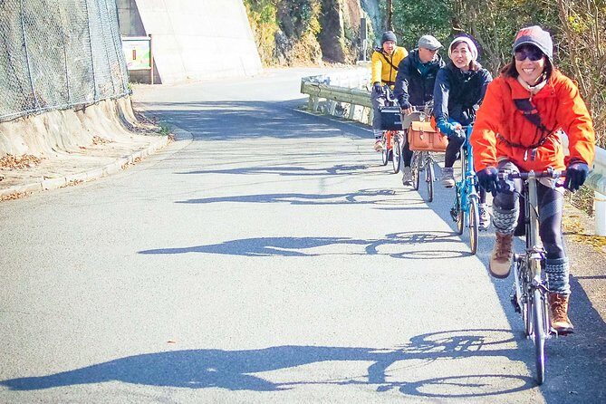 Iya Valley BROMPTON Slow Cycling Tour - Considerations and Who It’s Perfect For