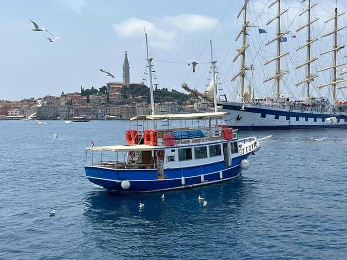 Izlet brodom iz Vrsara: Zalazak sunca i druenje s delfinima - An In-Depth Look at the Dolphin Sunset Tour from Vrsar