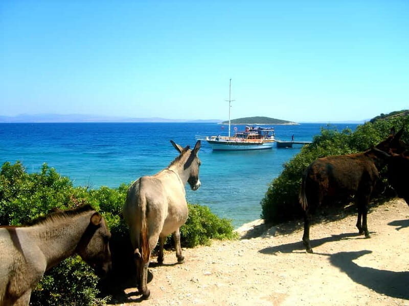 Izmir: Cesme Boat Tour and Alacati Visit - Authentic Experiences and Highlights from Review Insights