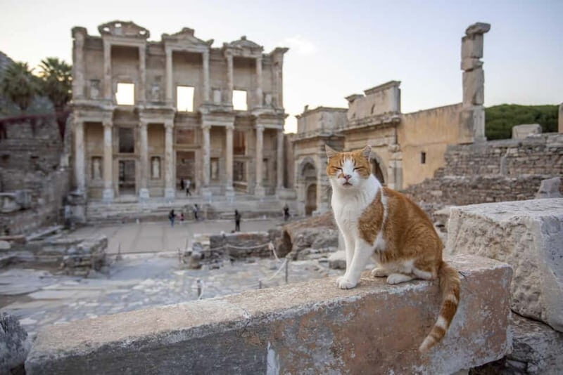 Izmir: Ephesus, Virgin Mary House & Artemis Temple Tour - Authentic Experiences & Insights from Reviewers