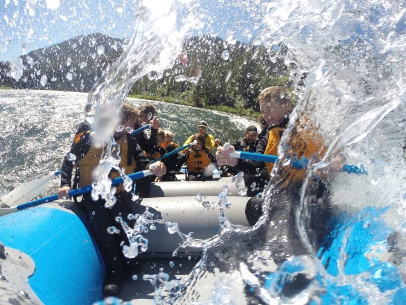 Jackson: 4-Hour Small Boat Snake River Whitewater Rafting - Who Should Consider This Tour?