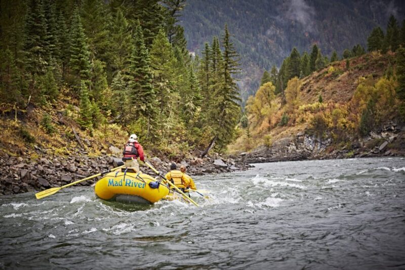 Jackson: 8-Mile Classic Boat Whitewater Rafting Trip - Who Should Consider This Trip?
